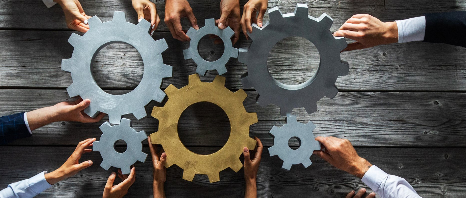 Workforce plan